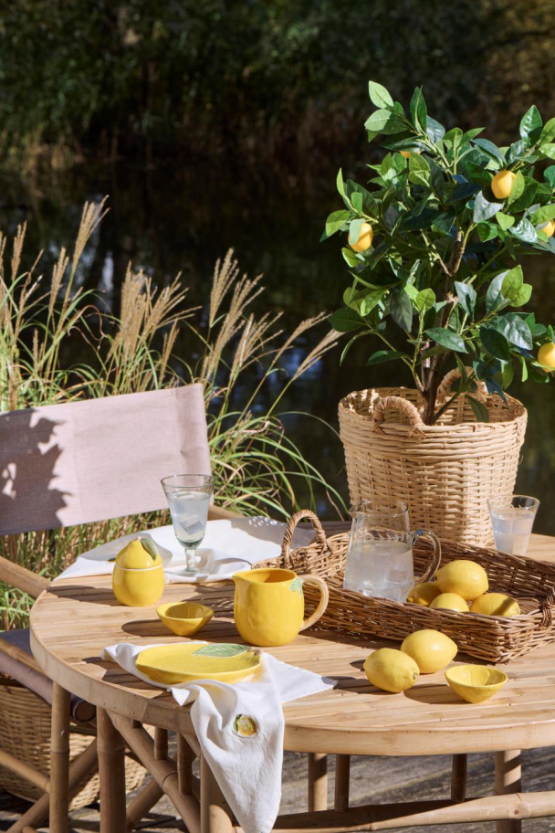 Sitrontre i potte - Image 3