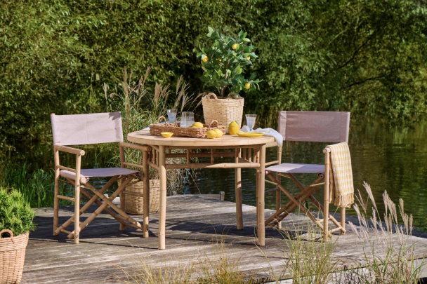 Sitrontre i potte - Image 5