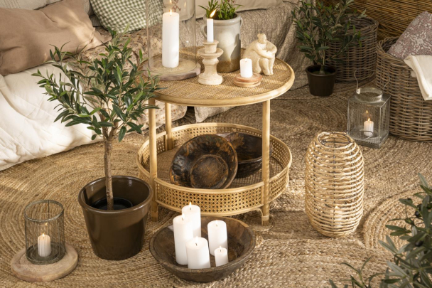 Oliventre i potte 75cm - Image 3