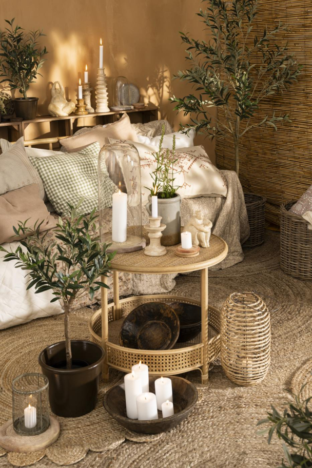 Oliventre i potte 75cm - Image 4