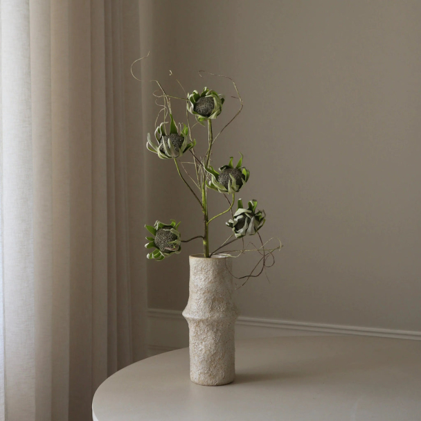 Grønn Protea blomst - Image 1