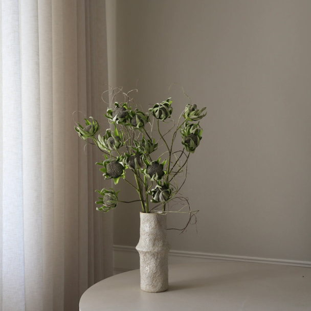 Grønn Protea blomst - Image 3