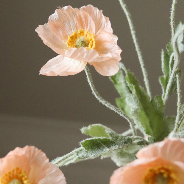 Korall Valmueblomst - Image 4