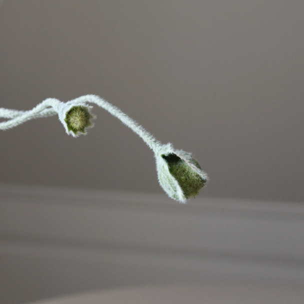 Valmueknopp - Image 2