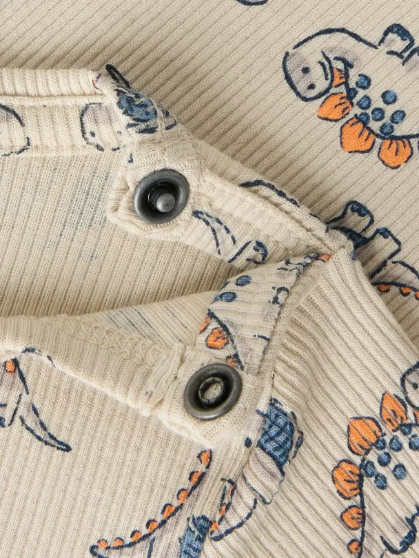 NBMfidius Body Dinsoaur - Image 3