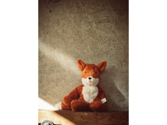 Rev - Senger-Naturwelt