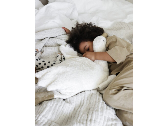 G&aring;s med varme-/kj&oslash;lepute, stor - Senger-Naturwelt