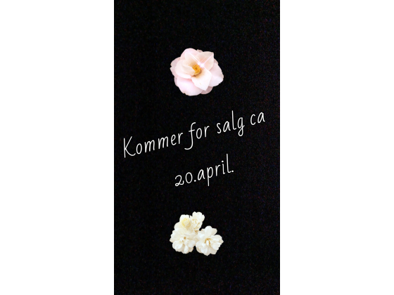 !! Hosta kommer til v&aring;r nettbutikk !!