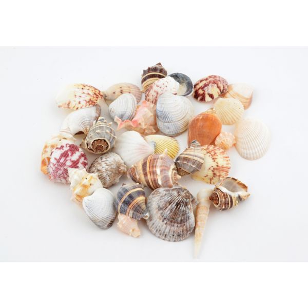 Skjell mix store ca 250g