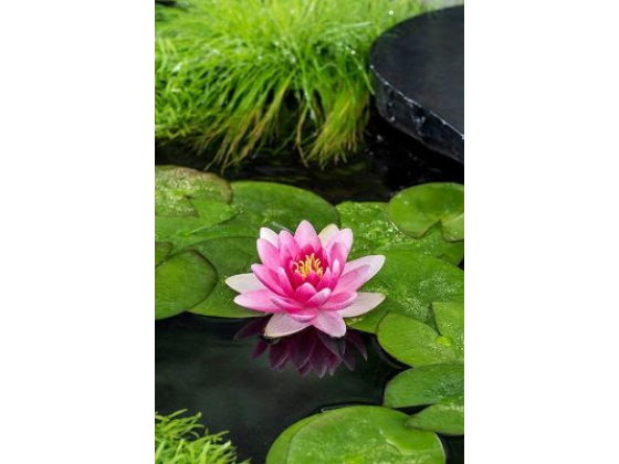 Charles de Meurville