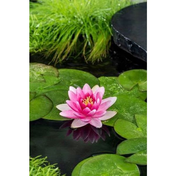 Charles de Meurville