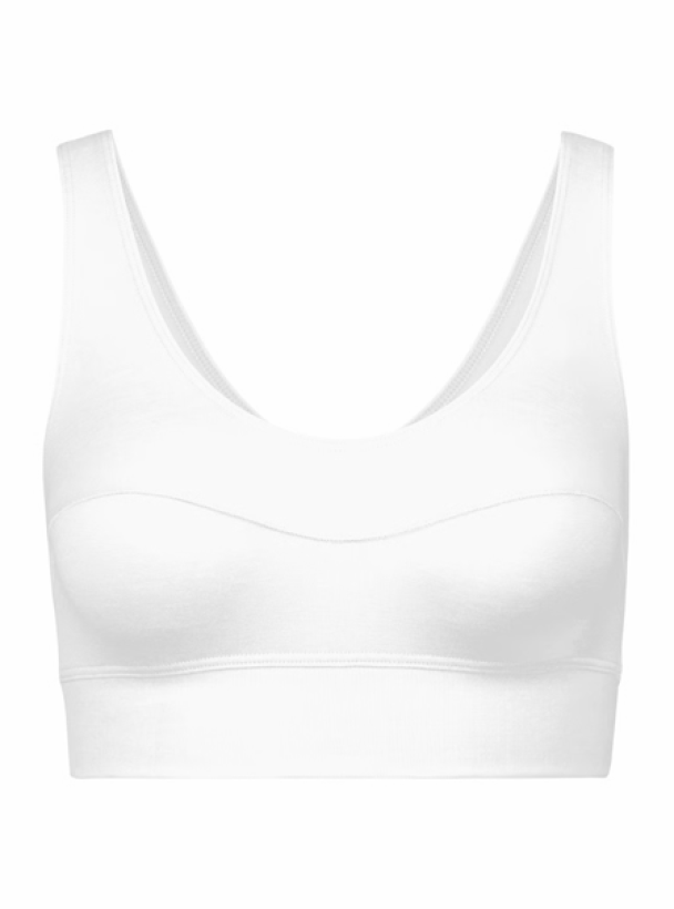 CALIDA Bustier- Softa Waistband 02138 - Image 2