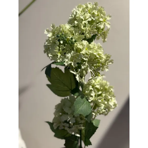 Viburno Ramo Ramo xs Con Foglie H.80