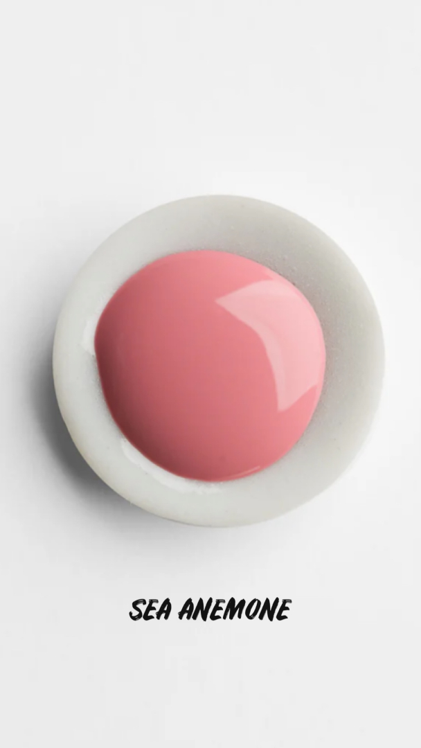 Palette Nail Paint - Image 12