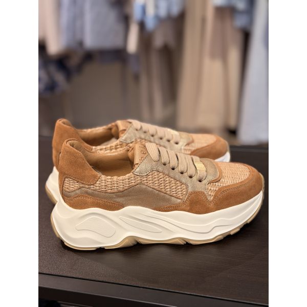 Rafia Nut Velour Couio    2120C