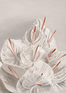 26168 - White In White.png