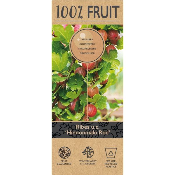 Ribes u.-c. Hinnonmäki Röd