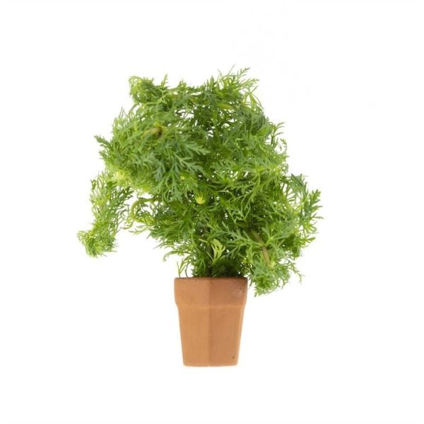 Limnophila sessiliflora