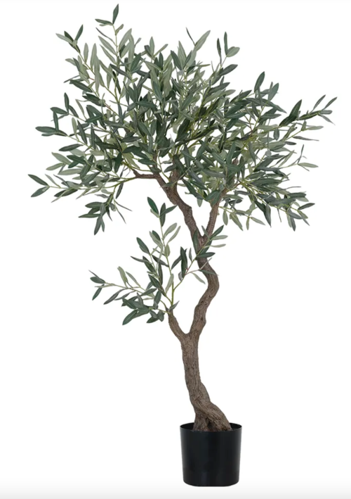 Oliventre uten frukt 150 cm