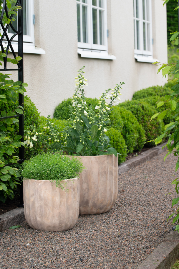 Fedora Krukke Stor - Image 2