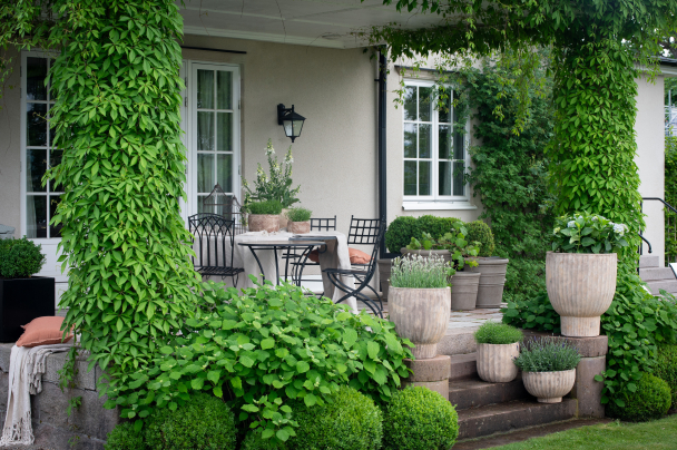 Fedora Krukke Stor - Image 3