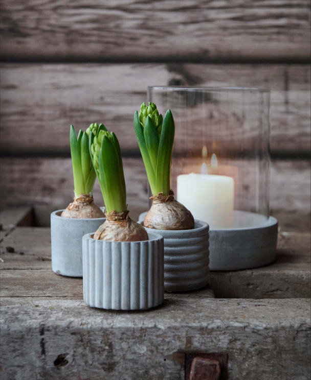 Lyslykt Stor - Image 3