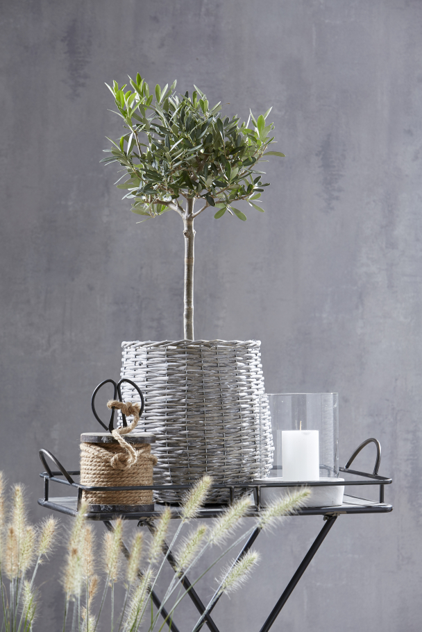 Lyslykt Stor - Image 4