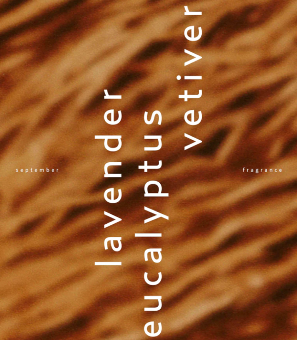 September Parfyme 10 ml - Image 2