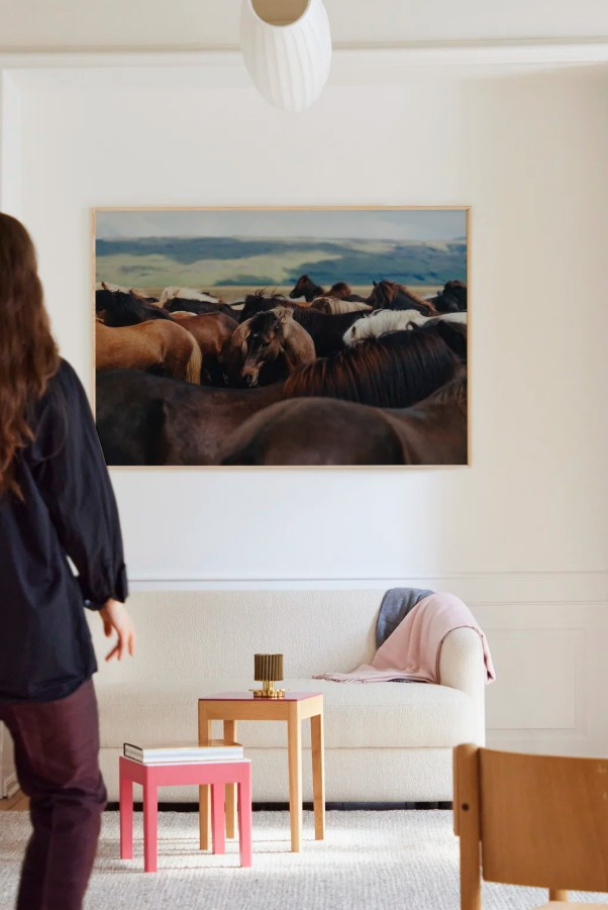 Plakat The Herd 02 70x100 cm - Image 2