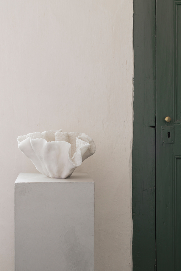 Coral deco bowl - Image 1