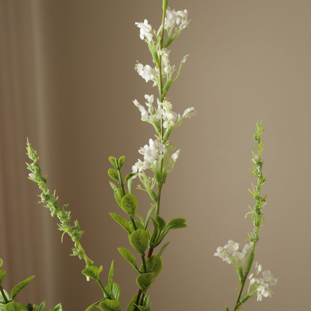 Hvit Villblomst - Image 3