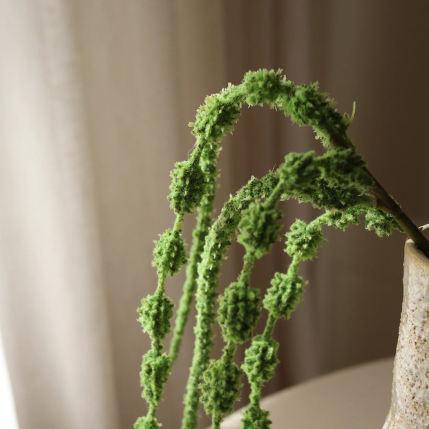 Lysegrønn Amarant - 6 grener - Image 2