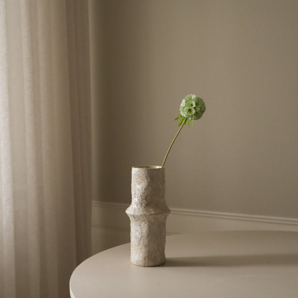 Lysegrønn Scabiosa Frøkapselblomst - Image 1
