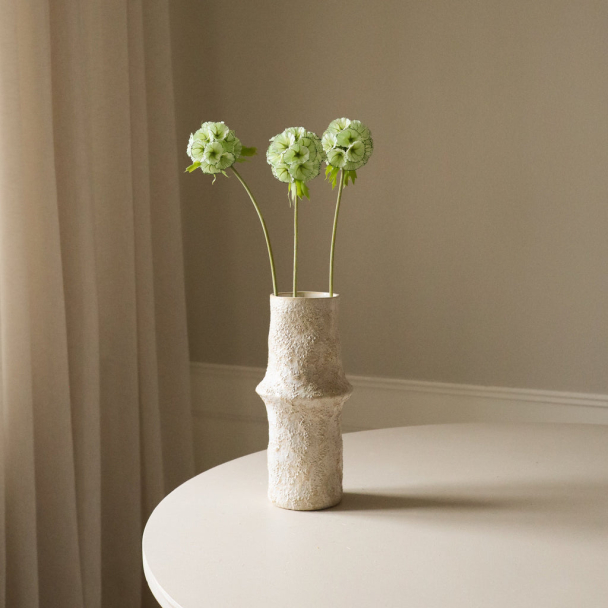 Lysegrønn Scabiosa Frøkapselblomst - Image 2