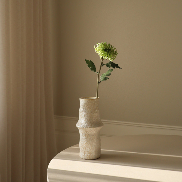 Lysegrønn halvkaktus-dahlia - Image 1