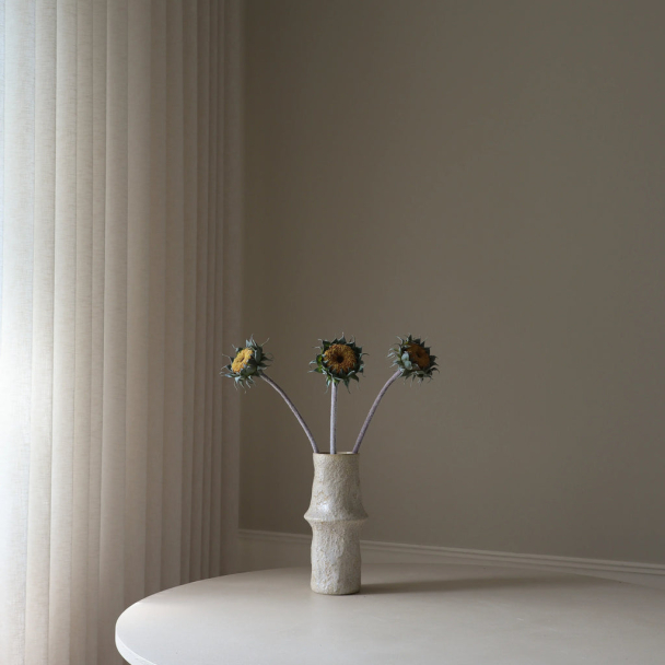 Gul høstsolsikke - Image 2