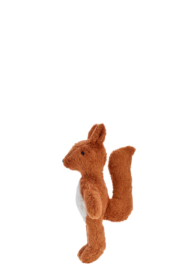 Baby Ekorn - Image 4