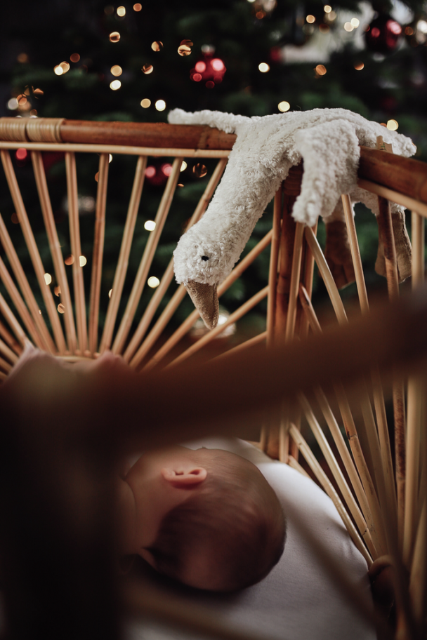 Gås Varme/Kjølepute liten - Hvit - Image 7