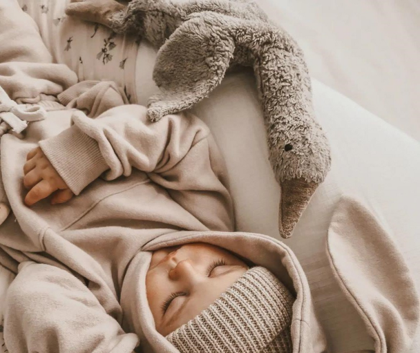 Gås Varme/Kjølepute liten - Grå - Image 2