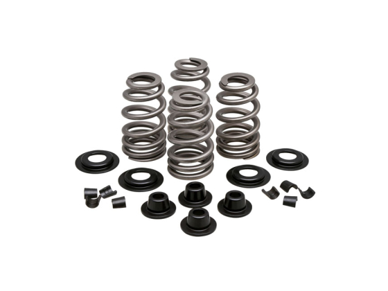 Beehive valve spring kit. Steel. .610" lift