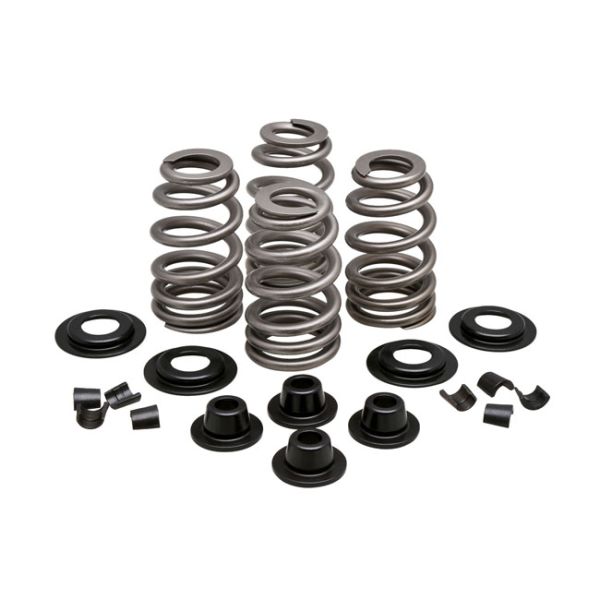 Beehive valve spring kit. Steel. .610" lift