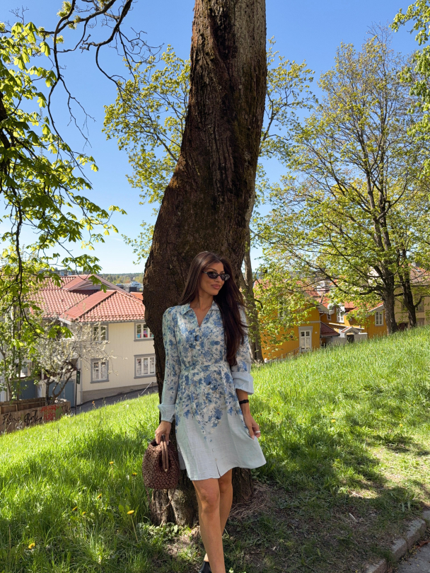 Cleo dress - Skyway/Cleo Print  - Image 3