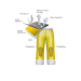 Regular Cargo Pant 