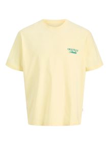 F_12284057_M_5072596_Front.jpg