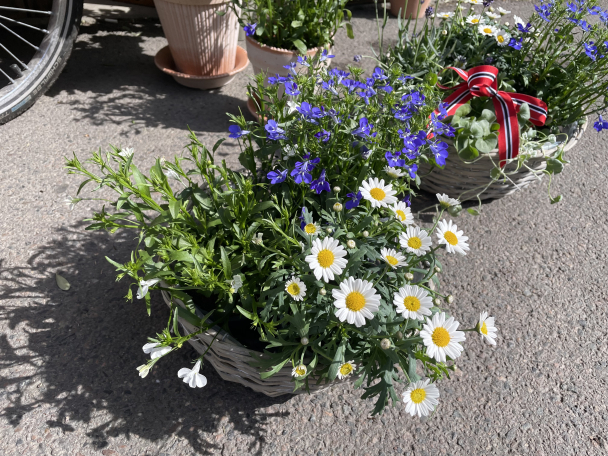 Blomster-kurv - Image 2
