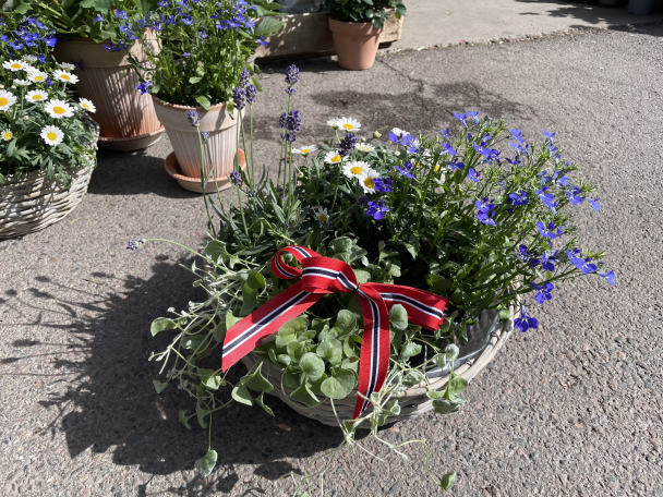 Blomster-kurv - Image 1