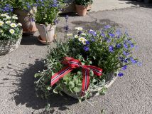 IMG_1971.jpeg