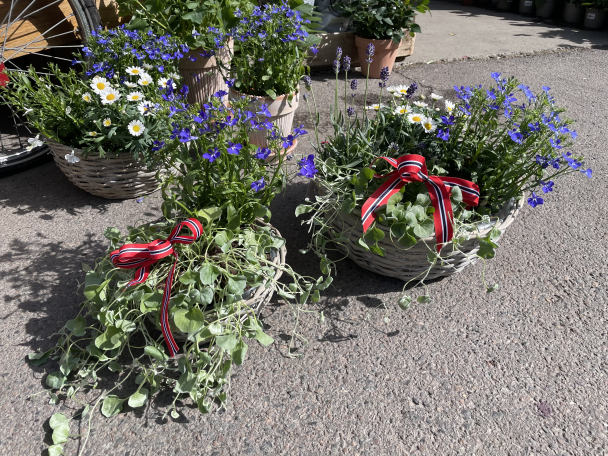 Blomster-kurv - Image 3
