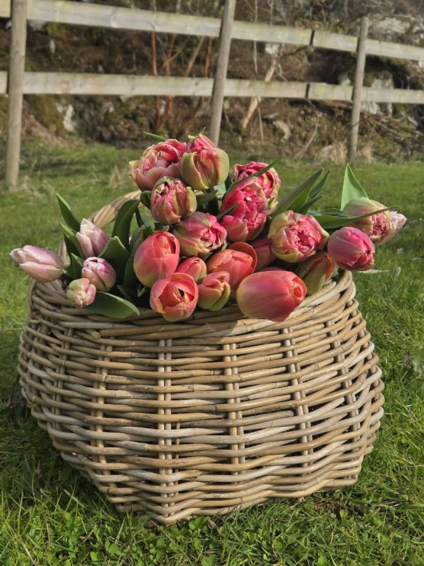 Økologisk Blomsterbukett - Image 1