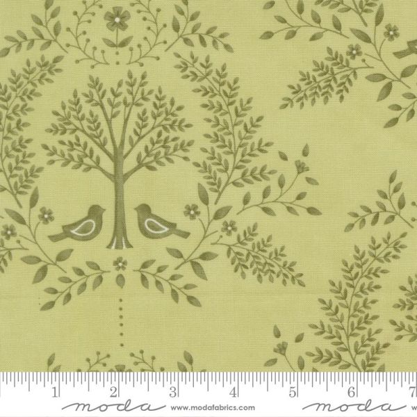 Family Tree Eucalyptus 56160 14 Moda
